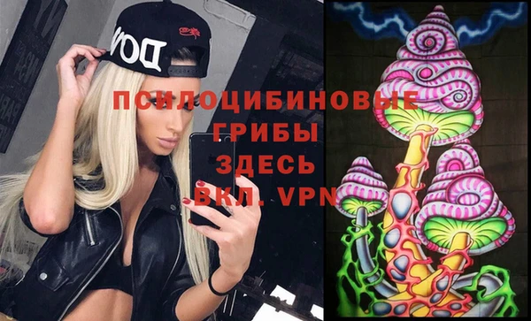 ALPHA-PVP Алексеевка
