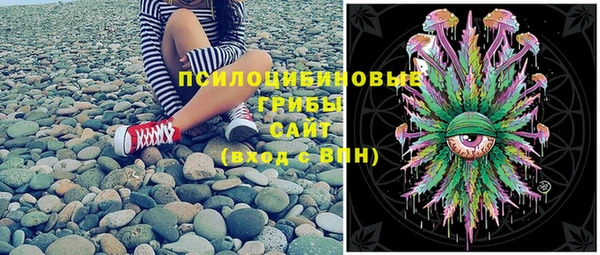 кокс Алексин